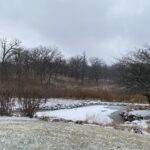 Lot #51 LONGWOOD Drive  Woodstock IL 60098