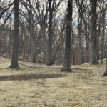 6 Acapulco Drive  Putnam IL 61560