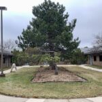 27W281 Geneva Road D-J Winfield IL 60190