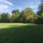 136 Grant Street  Barrington IL 60010