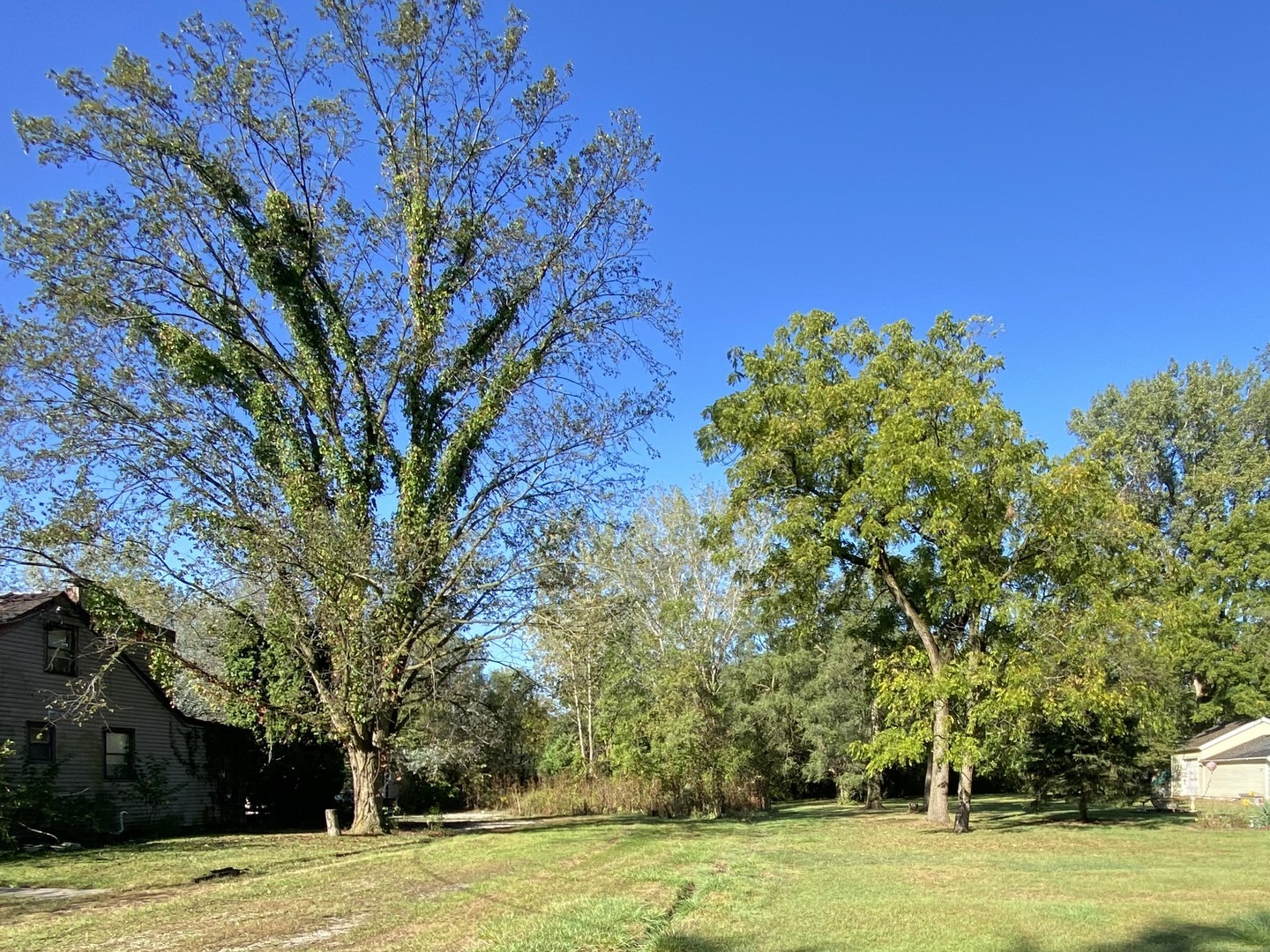 00 LOT 180th Street  Tinley Park IL 60477