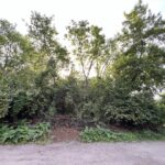 10401 Kenilworth Avenue  Algonquin IL 60102