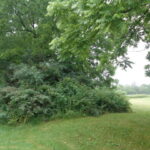 3523 Long Grove Road  Long Grove IL 60047