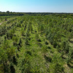 Tract 5 East Radio Tower Road  Clay City IL 62824