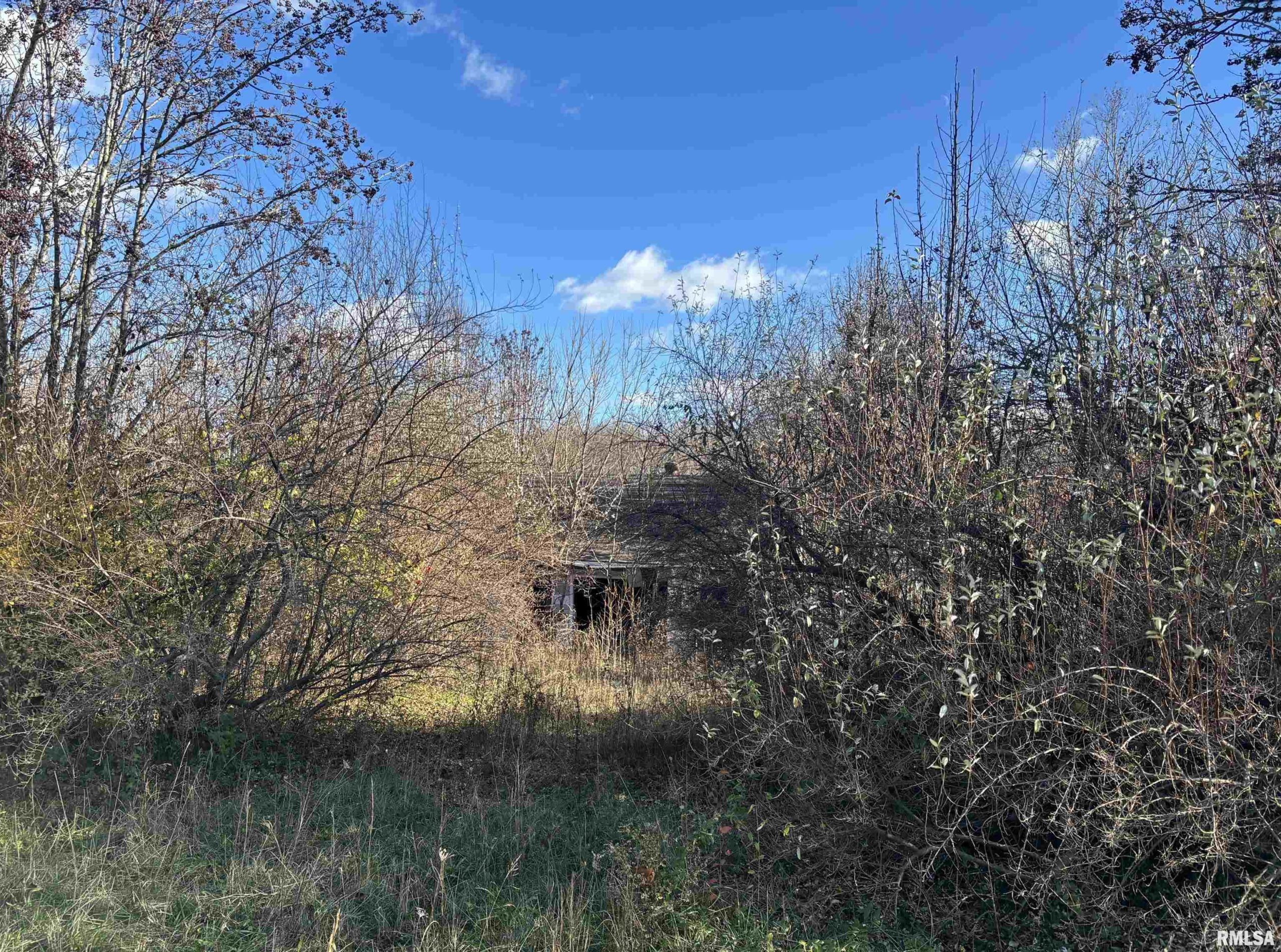 1475 State Route 127 S Highway Jonesboro IL 62952