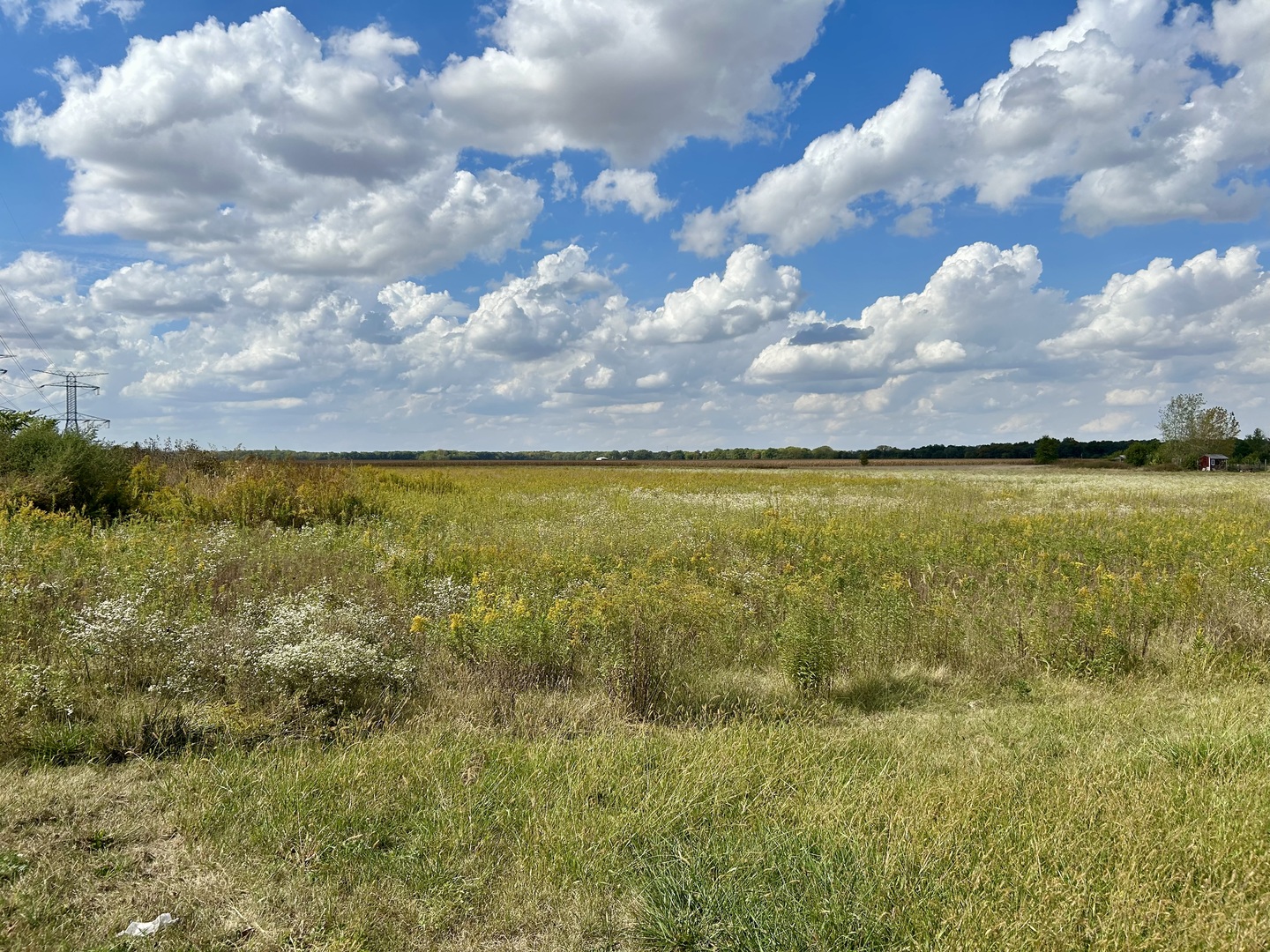 1065 Gorman Road  Morris IL 60450