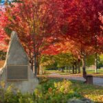 20295 Washington Street  Grayslake IL 60030