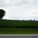 7500 Rt 50   Manteno IL 60950