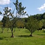 5548 Heatherbrook Trail Monee IL 60449