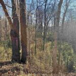 1475 State Route 127 S Highway Jonesboro IL 62952