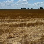 2000 County Road  Varna IL 61375