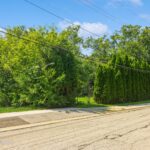 315 Johnson Street  Palatine IL 60067