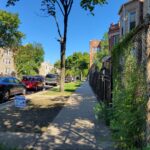 1549 Trumbull Avenue  Chicago IL 60623