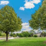 8 Falcon Lakes Drive South Barrington IL 60010