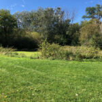 330 Poteet Avenue  Inverness IL 60067