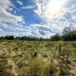 5048 Smokethorn Trail  Belvidere IL 61008