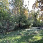 26767 Lakeview Drive Lake Barrington IL 60010