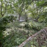 2841 89th Street  Chicago IL 60617