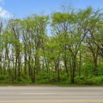 29W725 Army Trail Road  Bartlett IL 60103