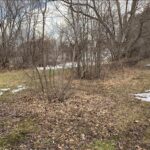 0 Anita Avenue  Antioch IL 60002