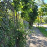 1549 Trumbull Avenue  Chicago IL 60623