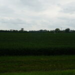 7500 Rt 50   Manteno IL 60950