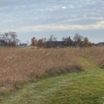 Lot #46 LONGWOOD Drive  Woodstock IL 60098