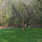 582 Dresser Road DeKalb IL 60115