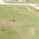 1015 Fox Trail Lane  Somonauk IL 60552