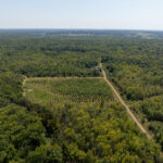 Tract 1 Mint Lane Clay City IL 62824