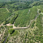 0000 Mayflower Road  Clay City IL 62824