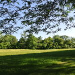 40 Polo Drive South Barrington IL 60010