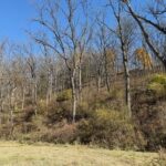 TBD Wann Street  Galena IL 61036