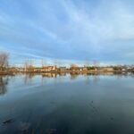 28 Falcon Pass  Camargo IL 61919