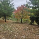 3601 Mcdonough Street Joliet IL 60431