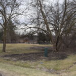 325 Sharon Drive  Sleepy Hollow IL 60118