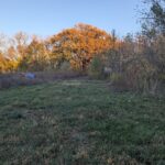 510 Grove Street  Farmer City IL 61842