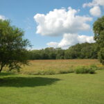 1750 Oakley Avenue  Streator IL 61364