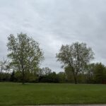 24317 Schubert Lane  Shorewood IL 60404