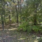 26220 Midlothian Road  Mundelein IL 60060