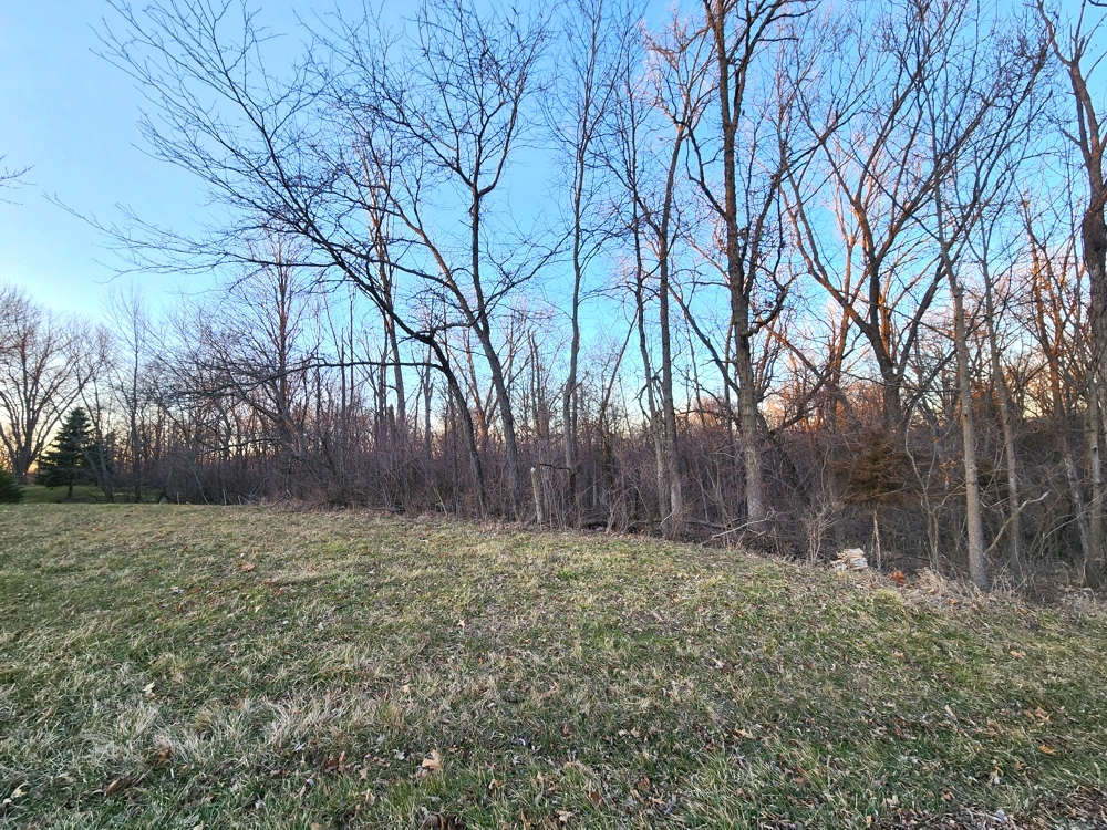 Lot 1038 Hidden Valley Drive  Varna IL 61375
