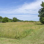 20400 Rock Run Drive  Joliet IL 60431