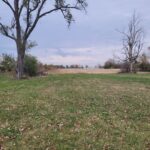 2420 CHICAGO Street Joliet IL 60436