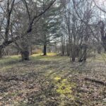 9020 Baldwin Drive  Machesney Park IL 61115