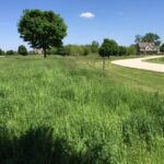 17402 Wildflower Circle  Union IL 60180