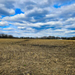 26155 IL Route 120   Grayslake IL 60030