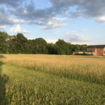 3008 Brickhouses Road  Urbana IL 61802