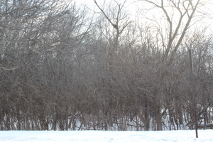 930 Fairfield Road  Round Lake Beach IL 60073