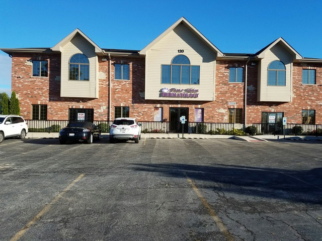 120 Batson Court  New Lenox IL 60451