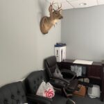 6006 Strathmoor Drive 6 Rockford IL 61107